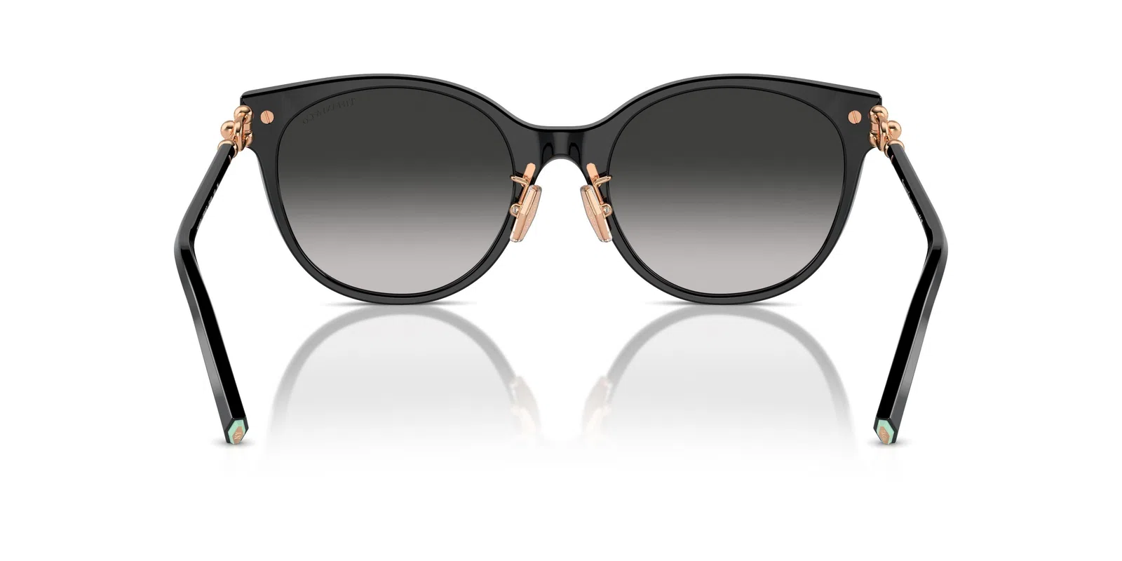 Tiffany 4223D Sunglasses - view 17